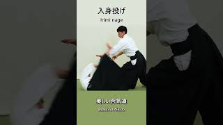 Beautiful Aikido