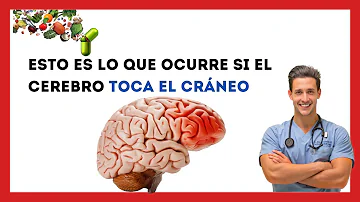 ¿Qué pasa si tu cerebro toca el cráneo?