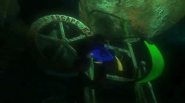 Finding Nemo (2003) - Bruce Gets Mental (2005 Deleted Version)