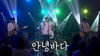 [이야기콘서트 休] 유니크한 감성위에 중독성 강한 멜로디, 바다를 동경한 밴드 안녕바다 | KBS대구 180507