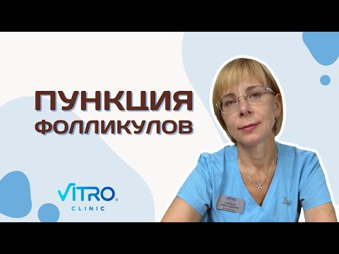 Пункция фолликулов (ЭКО)