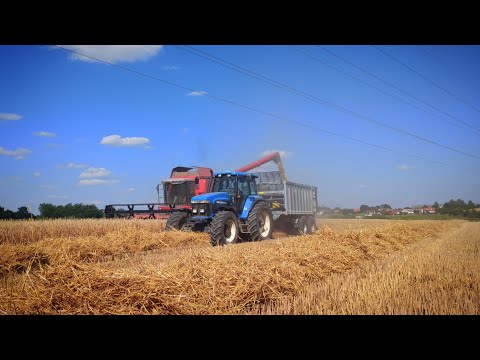 Žně 2022🌾 -