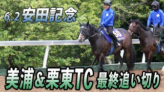 【安田記念】日本馬の意地を見せられるか！？美浦＆栗東TC最終追い切り