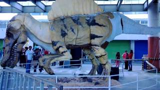 VID 20131217 154925