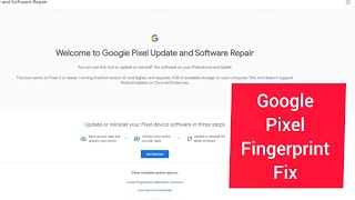 Google Pixel fingerprint fix after change Screen pixel