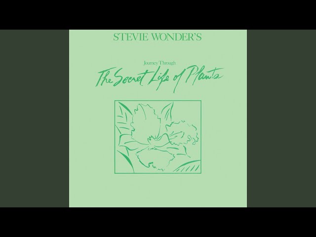 STEVIE WONDER - THE FIRST GARDEN