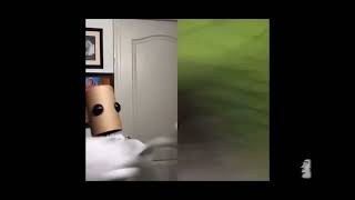 Toilet paper freaks out