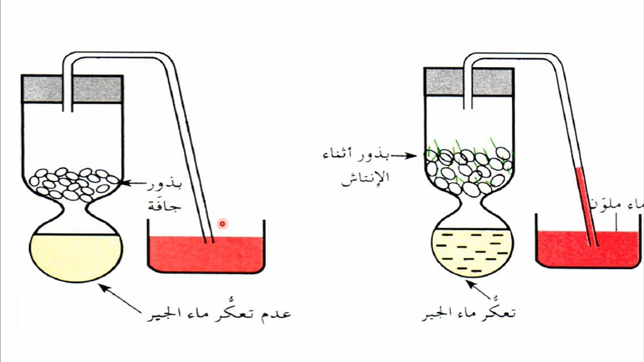 التنفس للسنة الاولى ثانوي