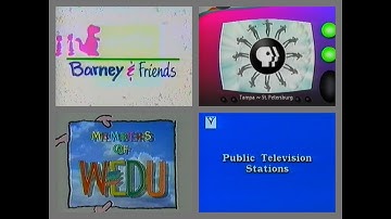 PBS Kids Program Break (1999 WEDU) Incomplete