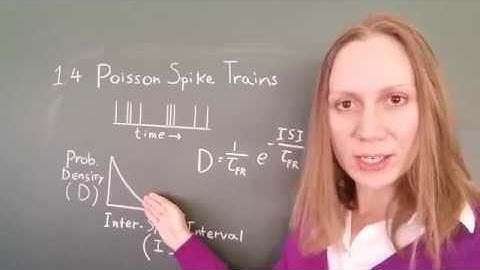 Computational Modeling of Neuronal Plasticity: 1.4