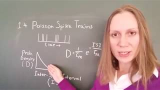 Computational Modeling of Neuronal Plasticity: 1.4