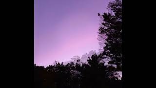 Operandum - Hubstract 004A