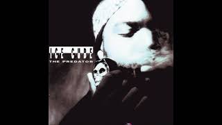 Ice Cube - It Was a Good Day