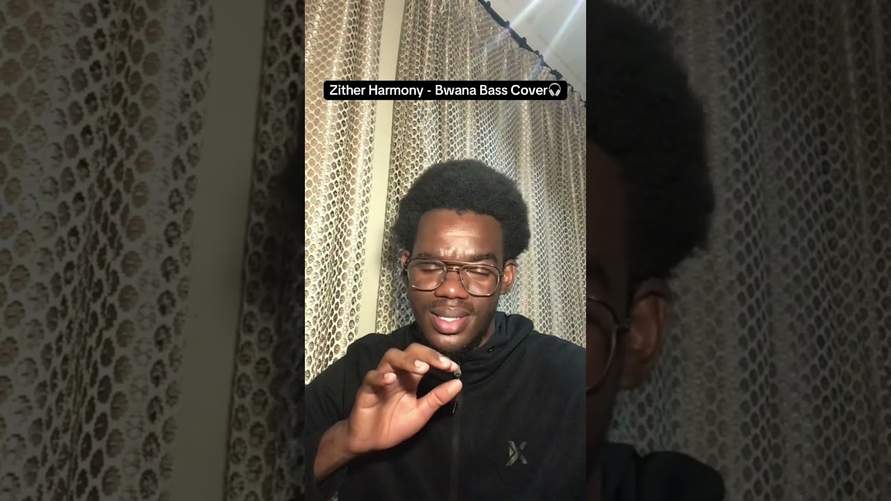 Zither Harmony - Bwana Bass Cover