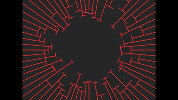 Scattered and gathered. #openframeworks #programming #creativecoding