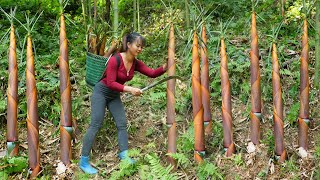 Harvesting Red Bamboo Shoot Goes To Market Sell, Vegetable gardening | Phuong Free Bushcraft