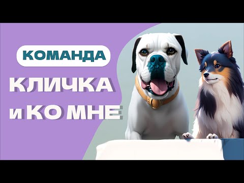 КЛИЧКА и ПОДЗЫВ