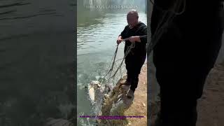 Wild Fishing: Traditional Net Fishing in the Wilderness
