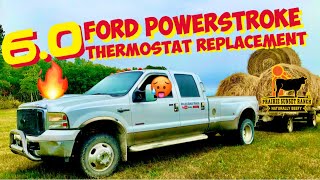 🛻 FORD 6.0 Powerstroke THERMOSTAT replacement GUIDE for F250 F350 Excursion Econoline Van