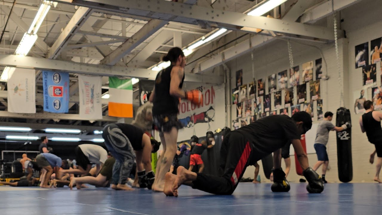 Muay Thai Training Live