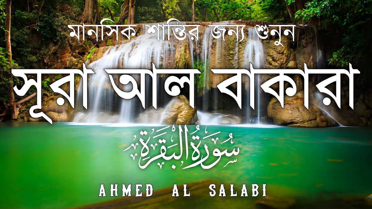 ঘরের উন্নতির জন্য সূরা বাকারা প্রতিদিন শুনুন I Surah Baqarah Full Quran Recitation | Ahmed Al Salabi