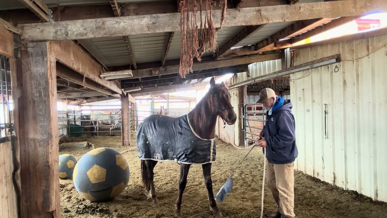 Использование стабилизирующей простыни в качестве тренировочного инструмента.
