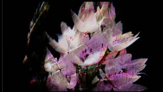 Psychedelic Luminal Connectivity Glitch Effect Tutorial - Using ONLY TOPS ! Beginner Friendly