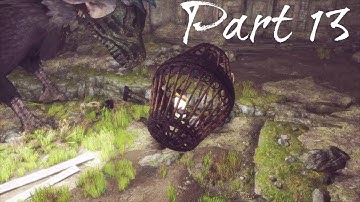 The Last Guardian Part 13 - The Cage (1080p No Commentary)