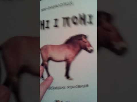 Новенькие книги о лошадях