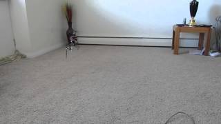 Blade 450X hover test flight indoors Helicopter