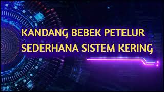 kandang bebek petelur sederhana sistem kering full intensif