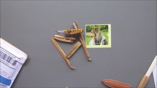 Tommy, Judy and Spirit came a calling!