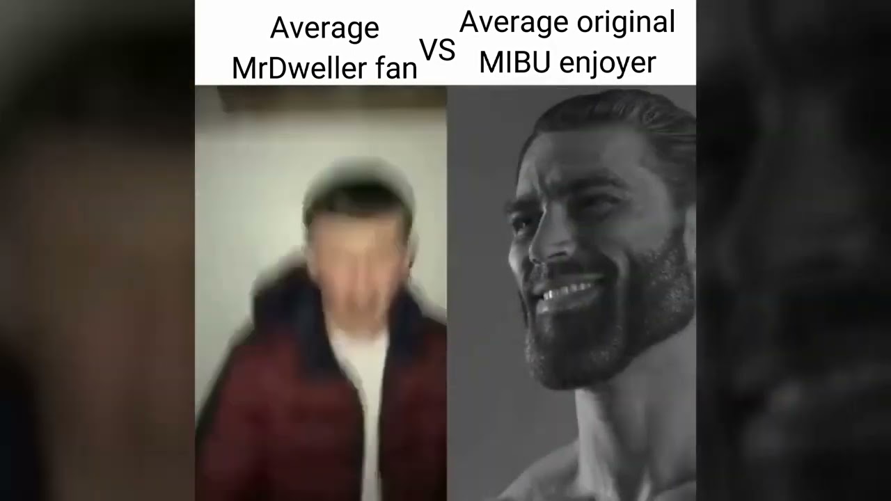 Average fan vs Average enjoyer meme