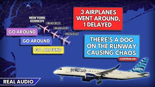 Dog on active runway causes Chaos at New York Kennedy Airport. Real ATC
