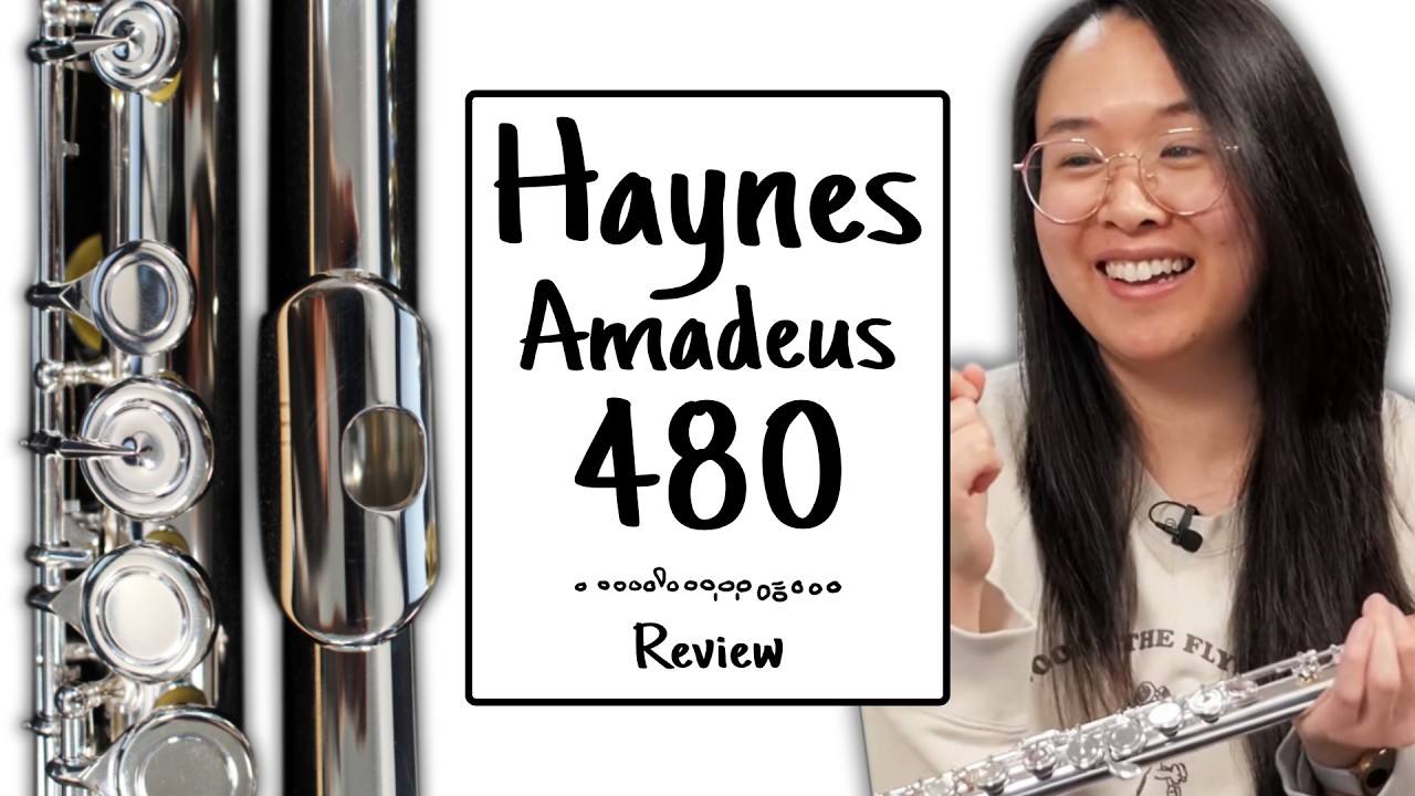 Amadeus by Haynes Model 480 Amadeus by Haynes Model 480 Beginner