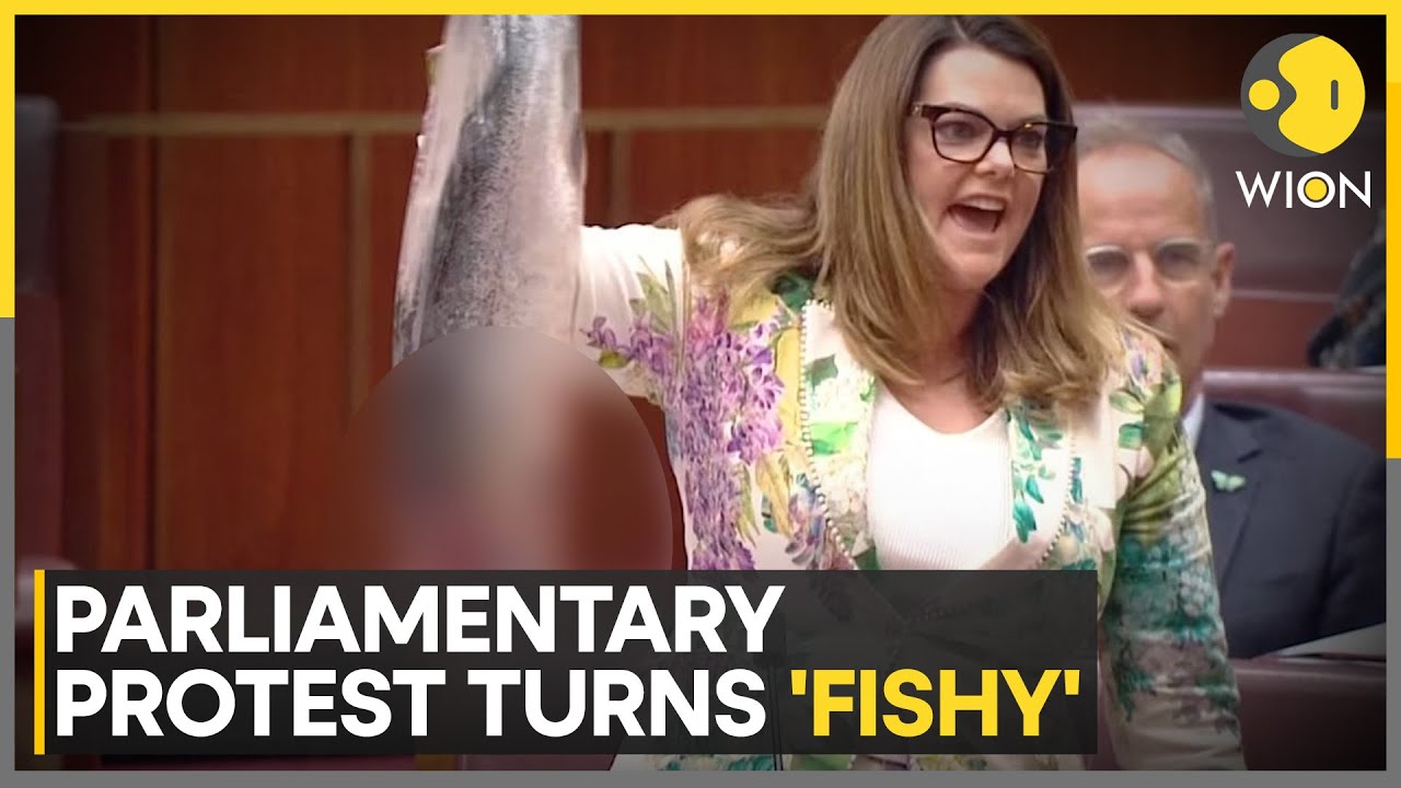 Greens Protests Salmon Farming Laws; Australian Senator Wields Dead Salmon | World News | WION