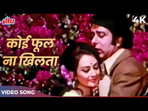 Zindagi Bhi Na Hoti Agar Tu Na Hoti Video Song Mohammed Rafi Saira Banu Navin Nischol