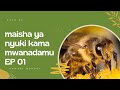 FAHAMU MAISHA YA NYUKI YANAVOFANANA NA MWANADAMU, EP 01 @SimuliziNaSauti