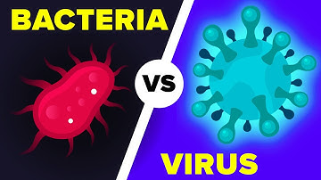 Virus vs Bacteria, What