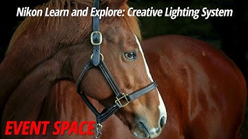 Nikon Learn and Explore: Creative Lighting System