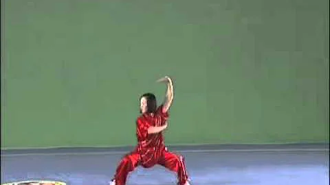3 Forma Changquan - San Lu