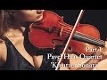 String Quartet No.1 'Kreutzer Sonata' L.Janacek Pavel Haas Quartet part1