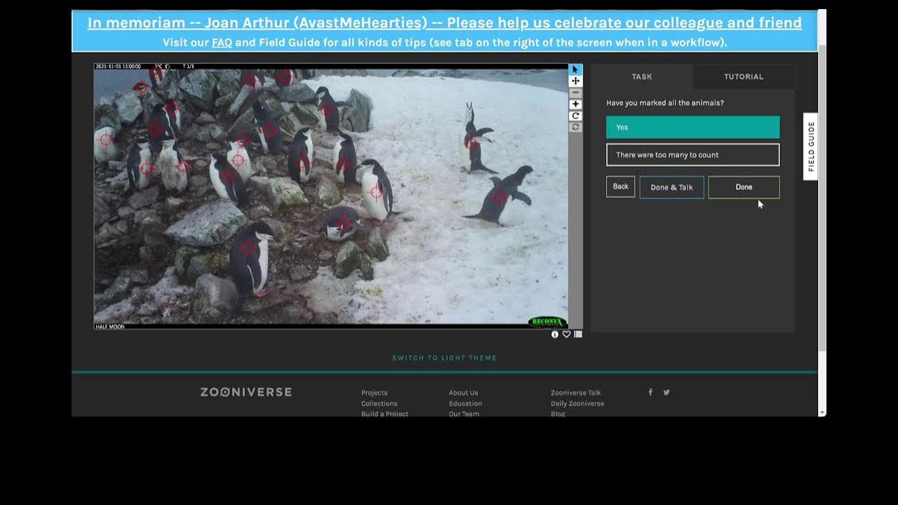 Zooniverse Penguin Watch 27SEP22 - YouTube