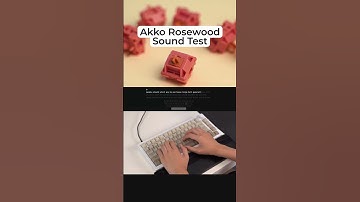 Akko Rosewood Sound Test #shorts #akkoswitches #keyboard