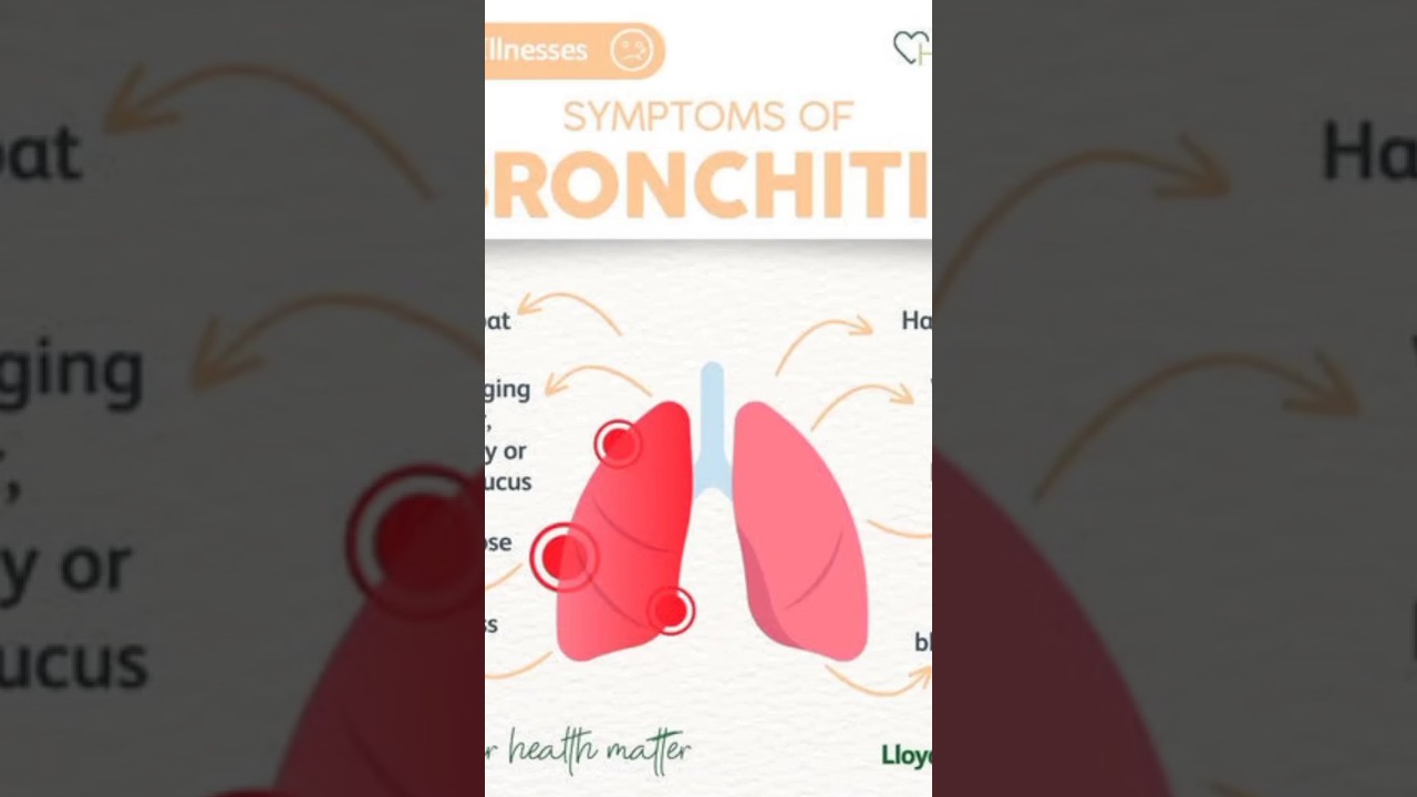 bronchitis #bronchits#biology #sindhboard