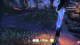 The Elder Scrolls Online - Invisible enemy