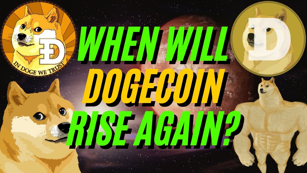 DOGECOIN IS DOWN AND HERE IS WHY! WHEN WILL DOGECOIN RISE? DOGECOIN ...