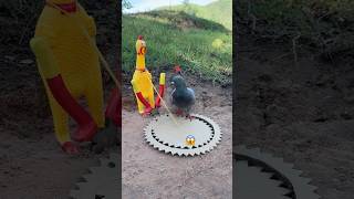 This bird trap actually works #shorts #diy #farming