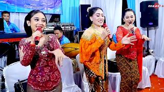 LIVE REC SRAGENAN KOPLO CAMPURSARI CSDI // KHITANAN REZKY