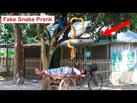 King Cobra Snake Prank 🐍 (Part 3) | Fake Snake Prank Video on Public | 4 Minute Fun